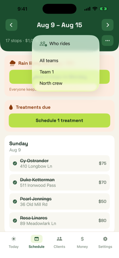 The team button on the Schedule tab